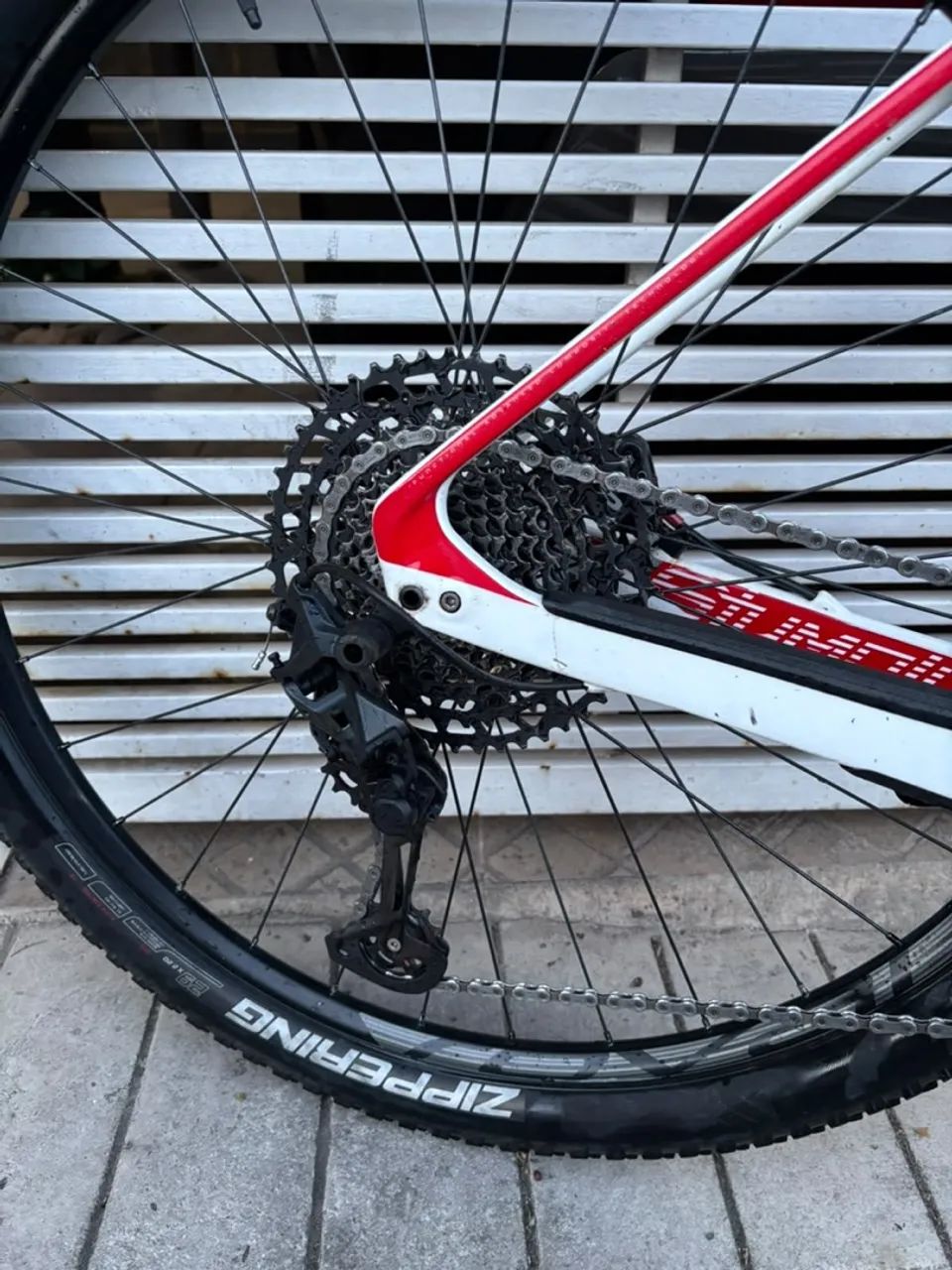 Specialized StumpJumper 29 Carbono  - Foto 2