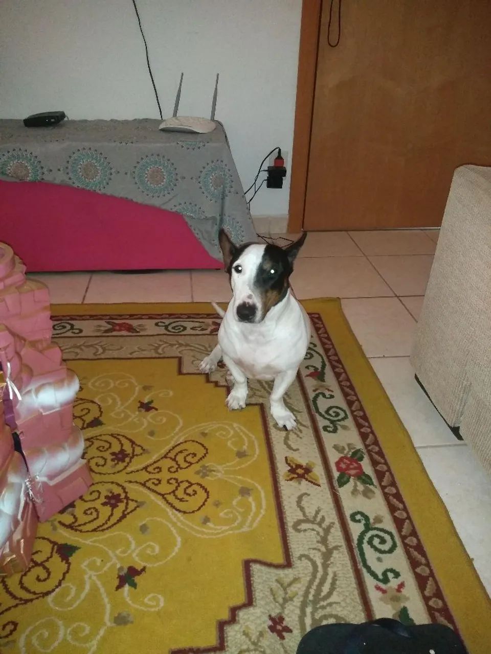 ADOÇÃO RESPONSÁVEL - LILA - Foto 2