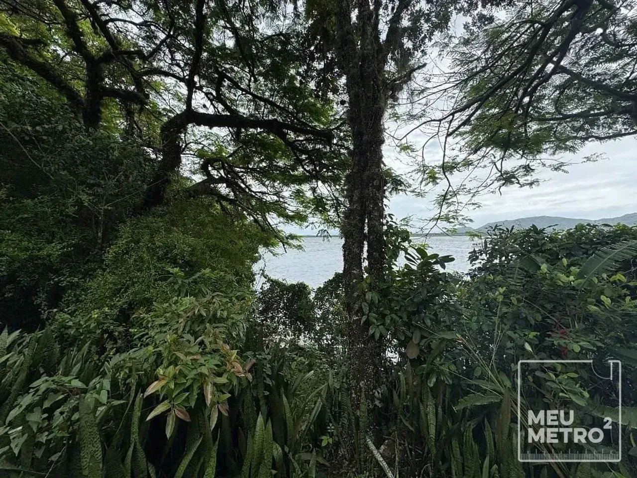 Terreno á venda no Canto dos Araças | Florianópolis | SC - Foto 5