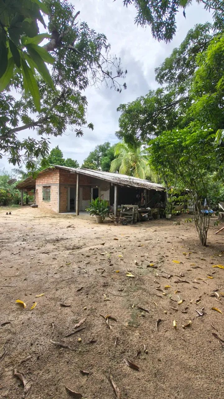 fazenda grande no canta - Foto 2