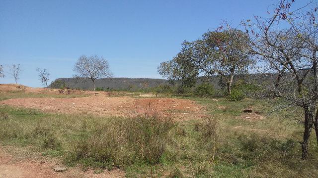 Fazenda 2.125 hectares - Munic. Aquidauana MS - Foto 9