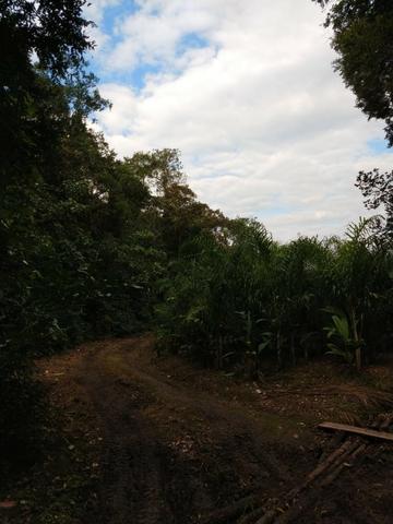 Chácara - América de Cima - Morretes - Foto 2