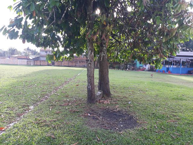 Oportunidade: terreno com 10.000 m2 proximo Avenida Mario Covas