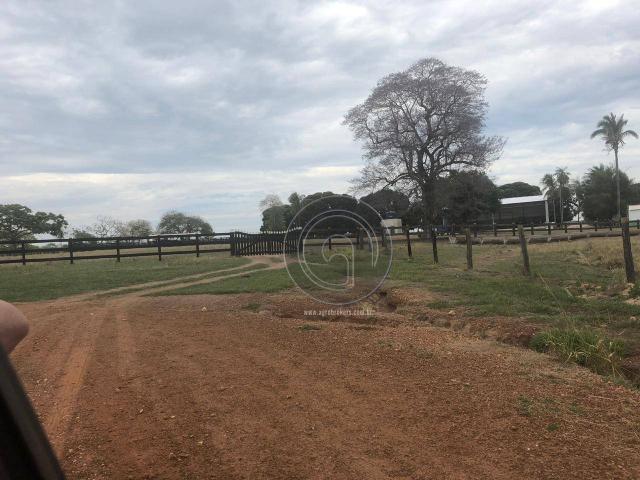 Fazenda 330 ha região chumbo poconé - Foto 13
