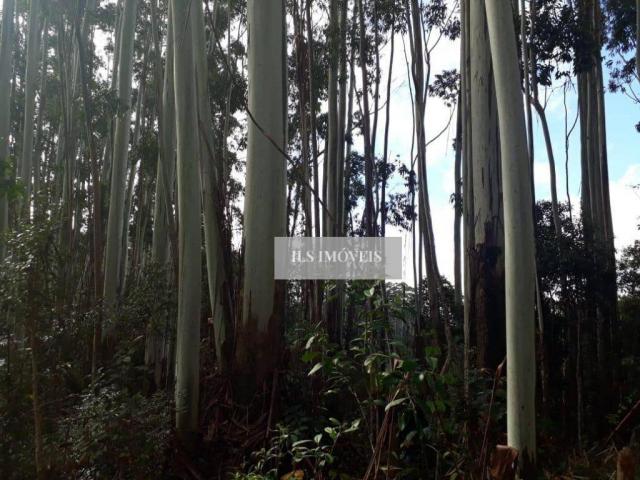 Fazenda - Foto 9