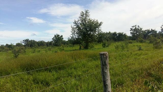 2 Sítios juntos 9 Hectares Cada 90km Cuiabá - Foto 3
