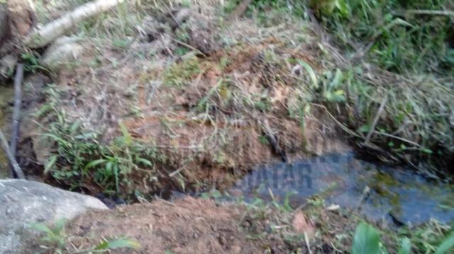 Chácara para venda em campina grande do sul, br 116 - Foto 17