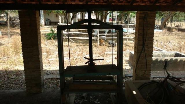 Fazenda em José de Freitas-PI - Foto 9