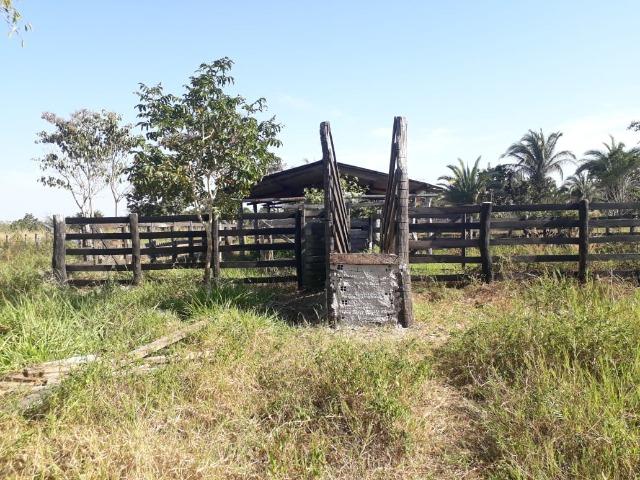 Fazenda para Pecuária com 333 hectares - Foto 15