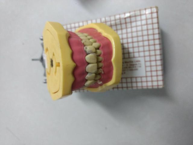 Manequim odontológico marca mom