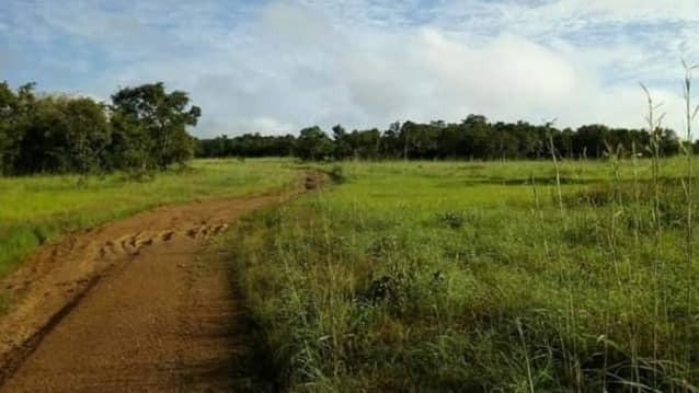 Fazenda 440 hectares - Livramento - Foto 4