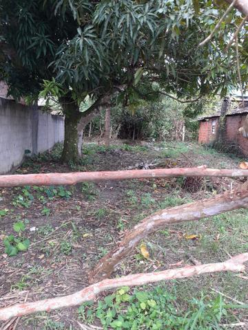 Terreno.
