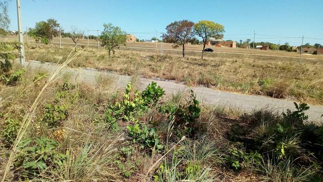 Lote - Foto 3