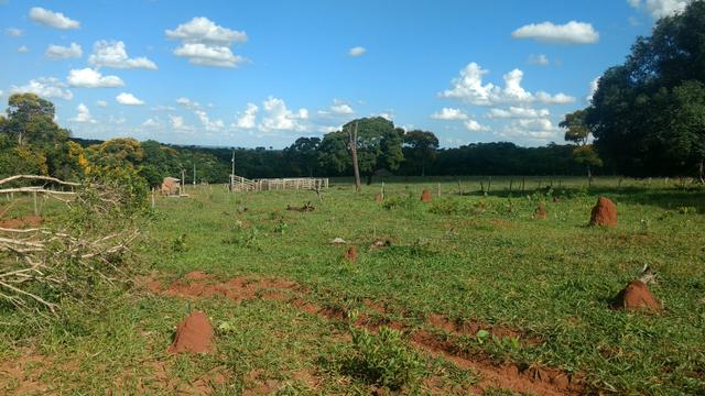 CHÁCARA JARAGUARI MS 36,4 ha - Foto 11