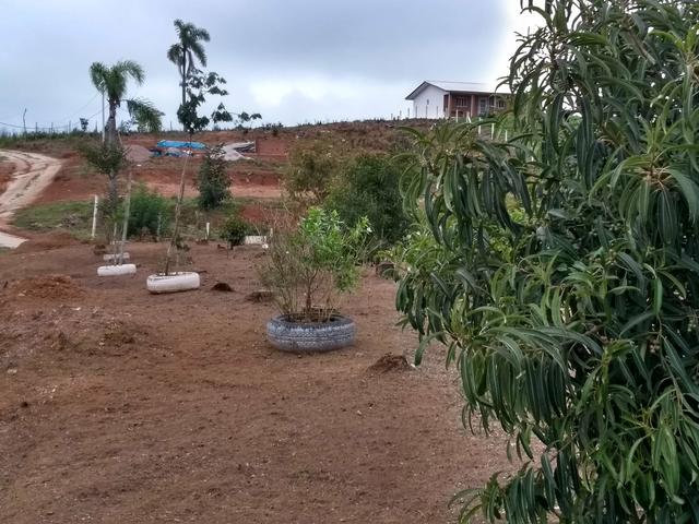 Chácara - Foto 16