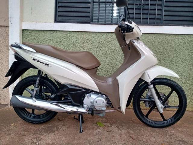 BIZ 125 // ANO 2019 //