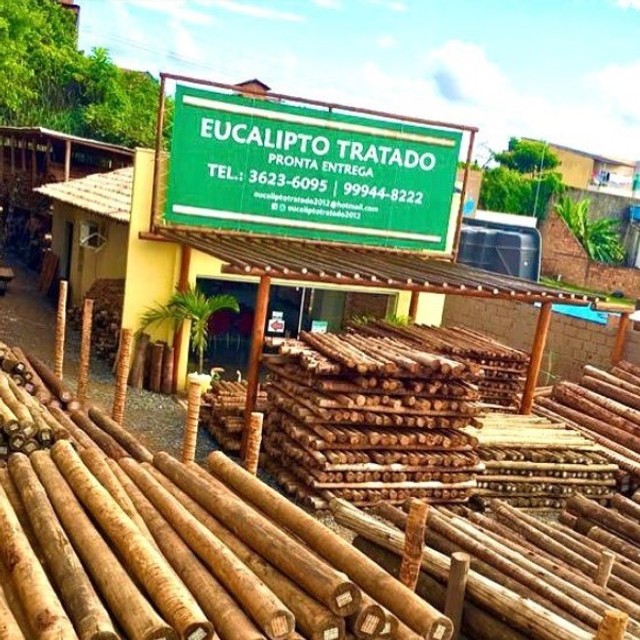 Eucalipto Tratado Temos a melhor solução em Madeira de Eucalipto Tratado da Bahia - Foto 2