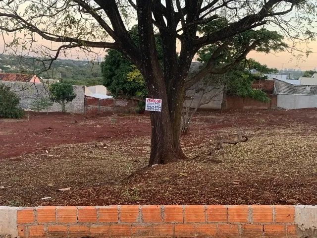 vendo terreno com 1.000 m2 - Foto 6