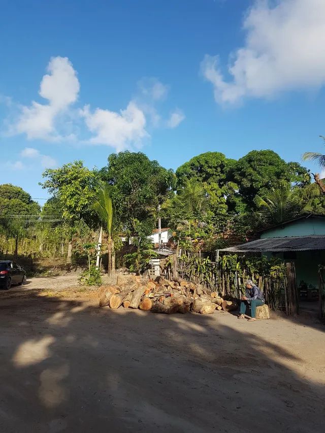 Poda de árvore ? limpeza de terrenos  - Foto 4
