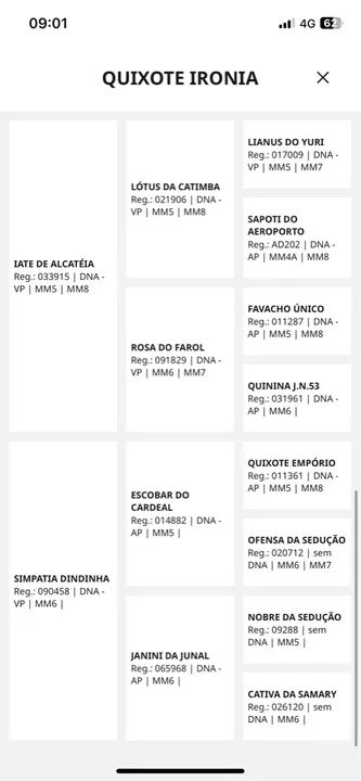 Égua MM registrada - Foto 2