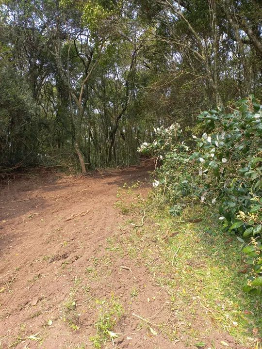 Chácara Faz. Ilhéus 2,0 Ha - Foto 7