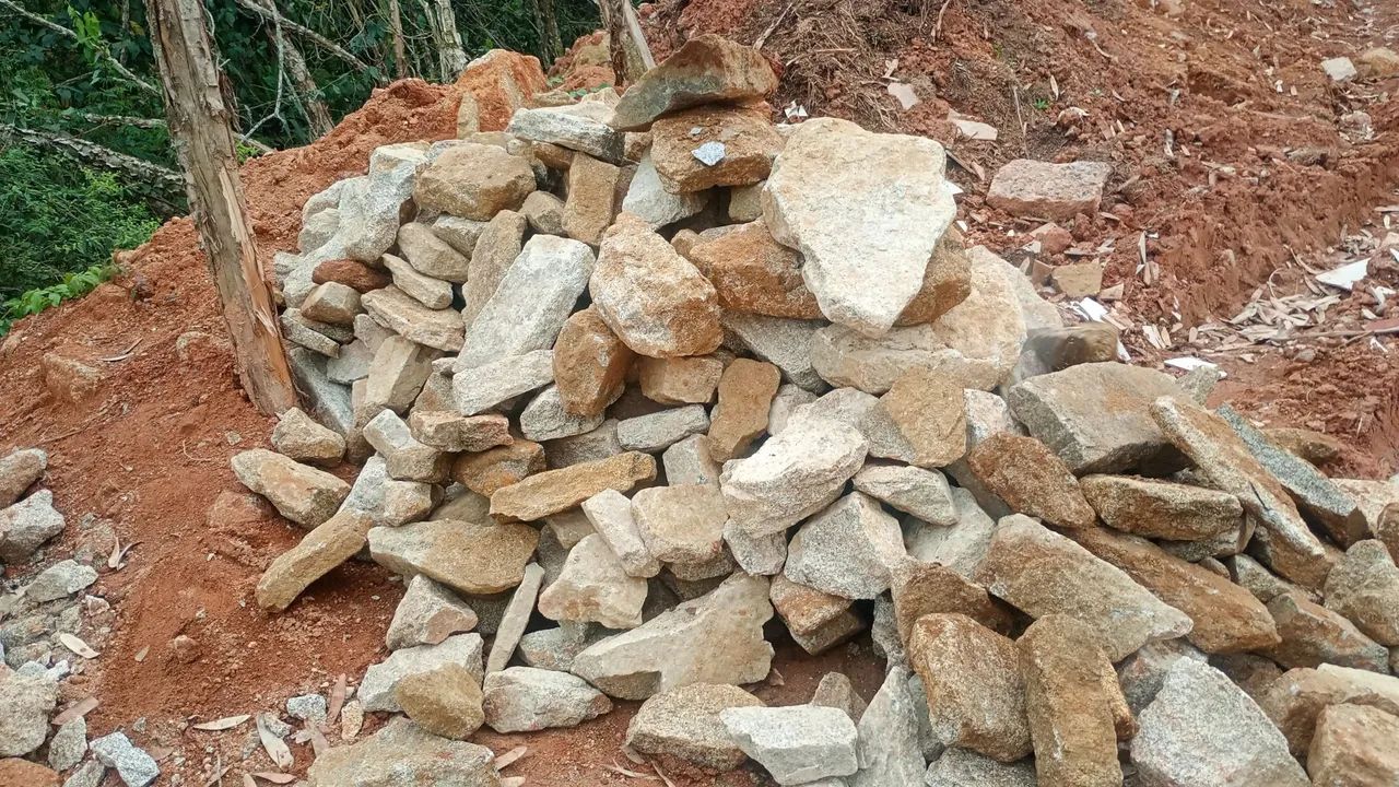 Moledo champanhe  - Foto 2