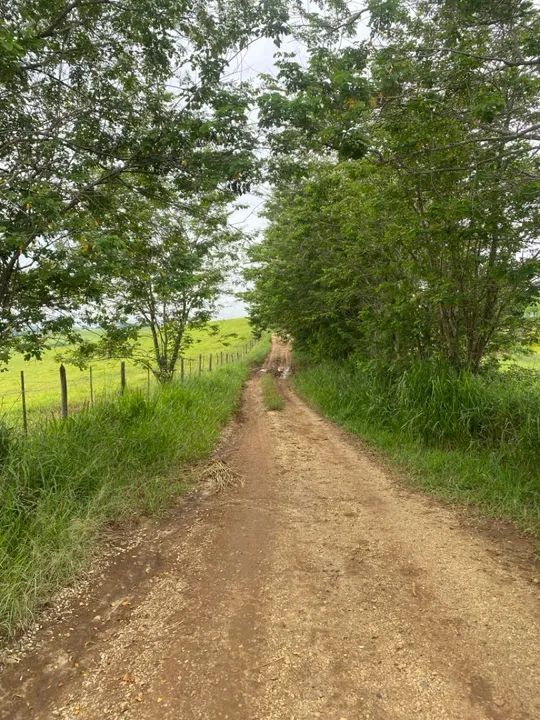 foto - Caçapava - Chácara Marambaia