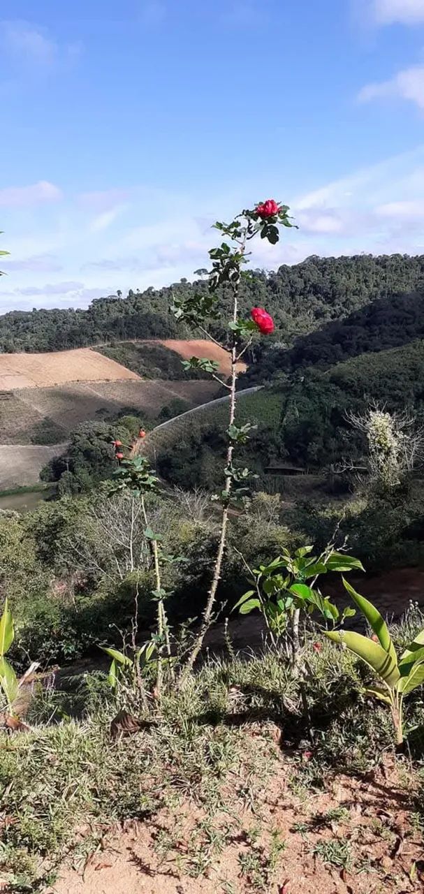 Vendo sítio em Domingos Martins  - Foto 4