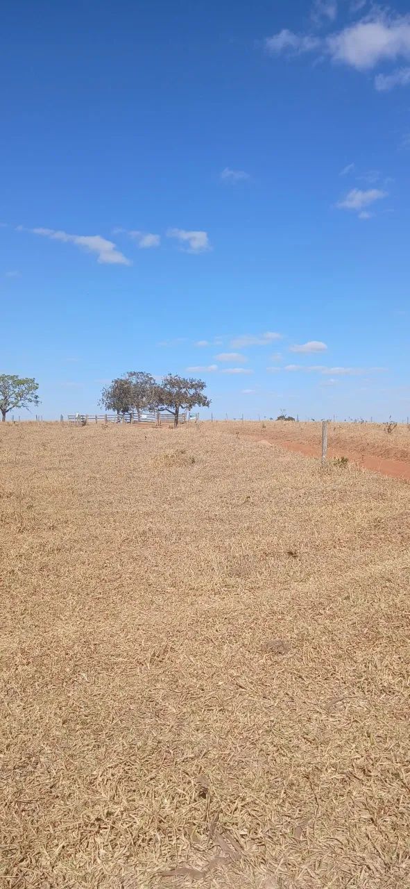 Fazenda Disponível pra Venda......No Estado de Goiás........No município de Luziania. Goiá - Foto 5