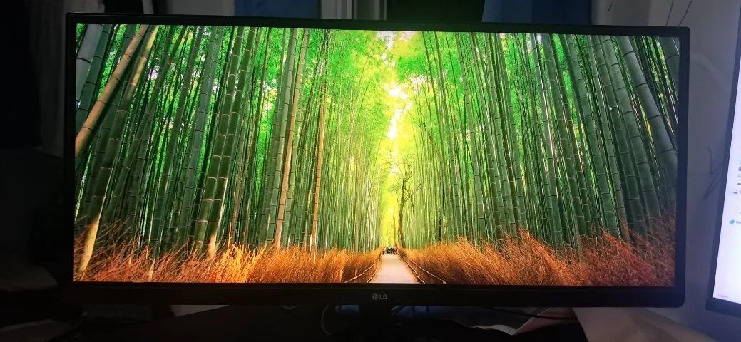 Monitor lg