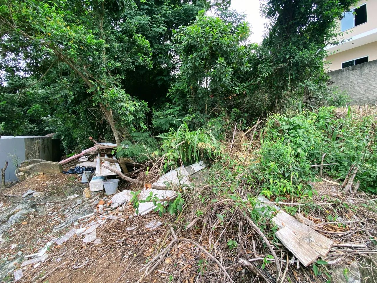 Terreno vista mar de 550 mil por 395 mil só. Ribeirão da Ilha - Foto 3