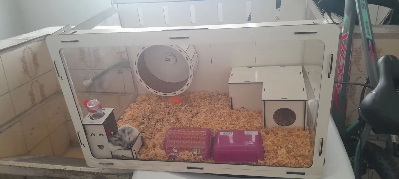 Casinha e dois hamsters  - Foto 5