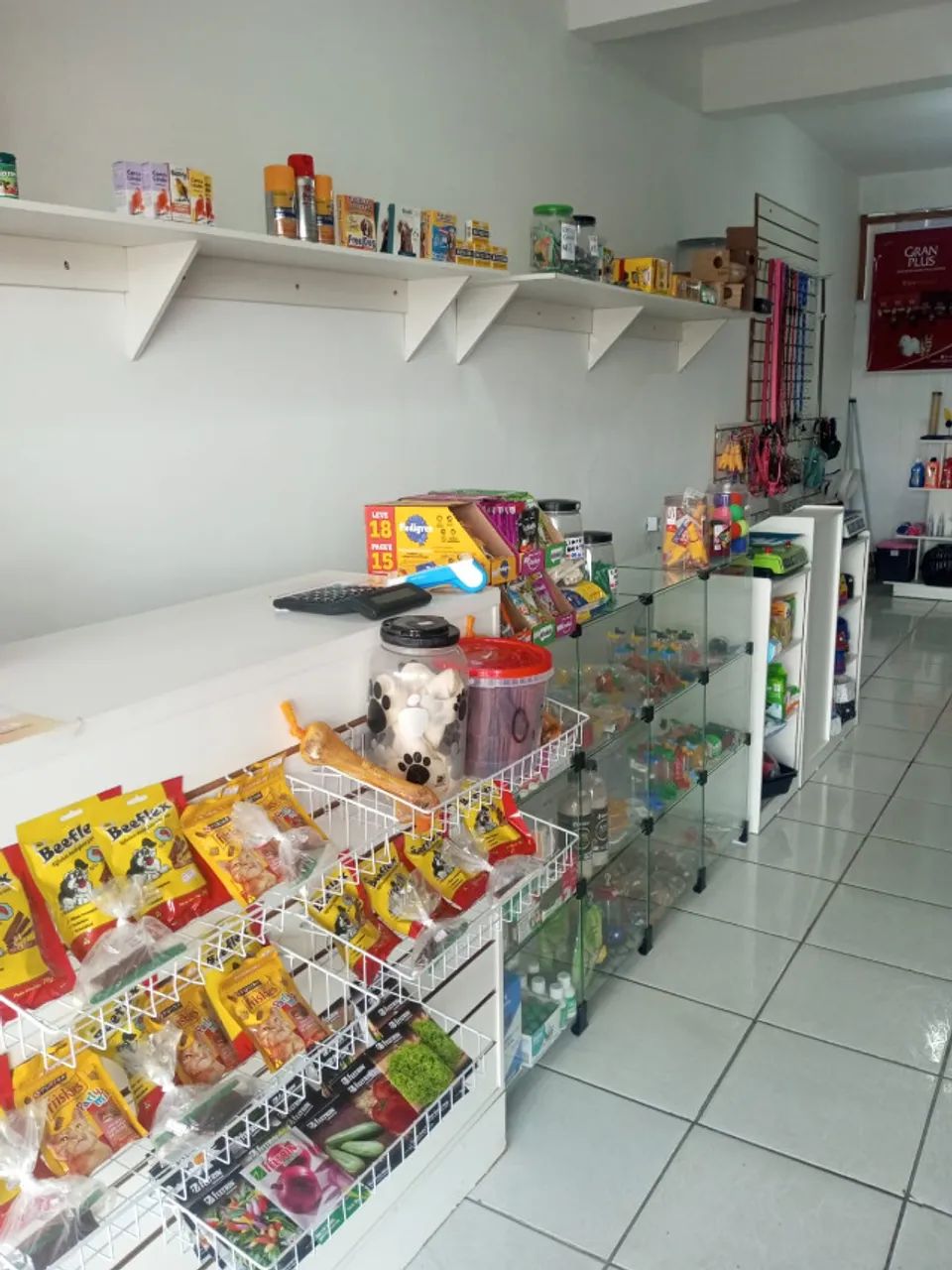 Aviário Completo! Tudo para você abrir seu negócio. - Foto 4