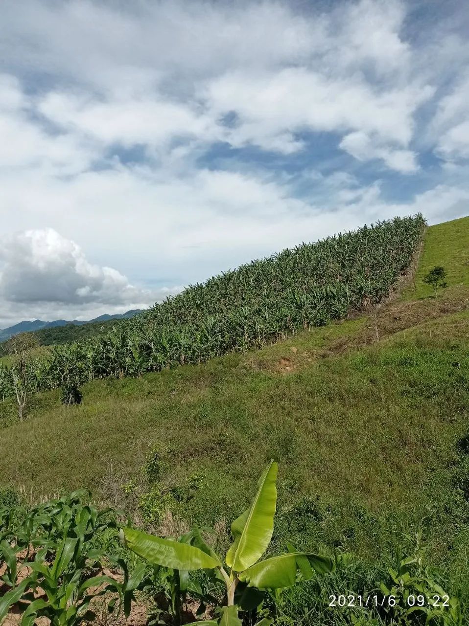Terreno em Gonçalves MG  - Foto 4