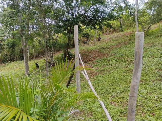 Terreno arborizado em Praia Linda - São Pedro da Aldeia