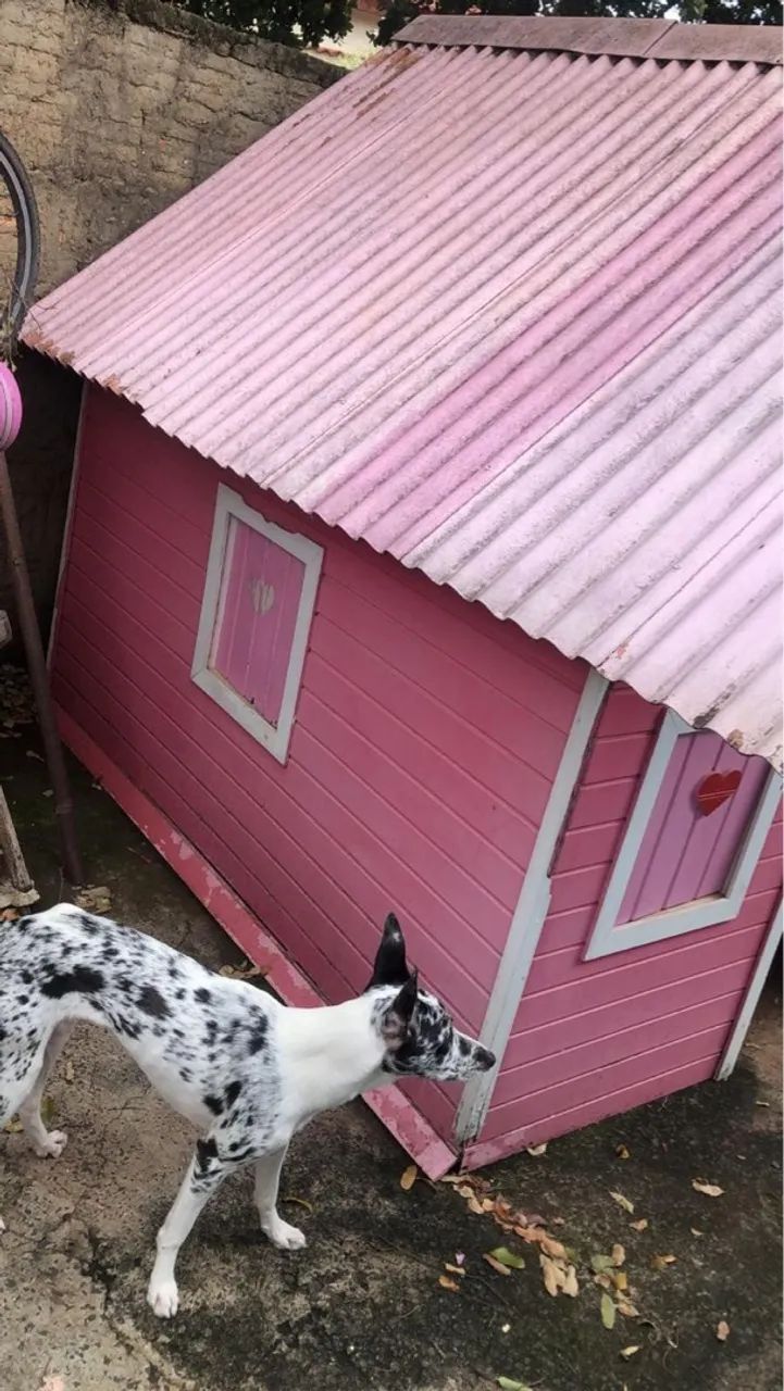 Casinha de boneca  - Foto 6