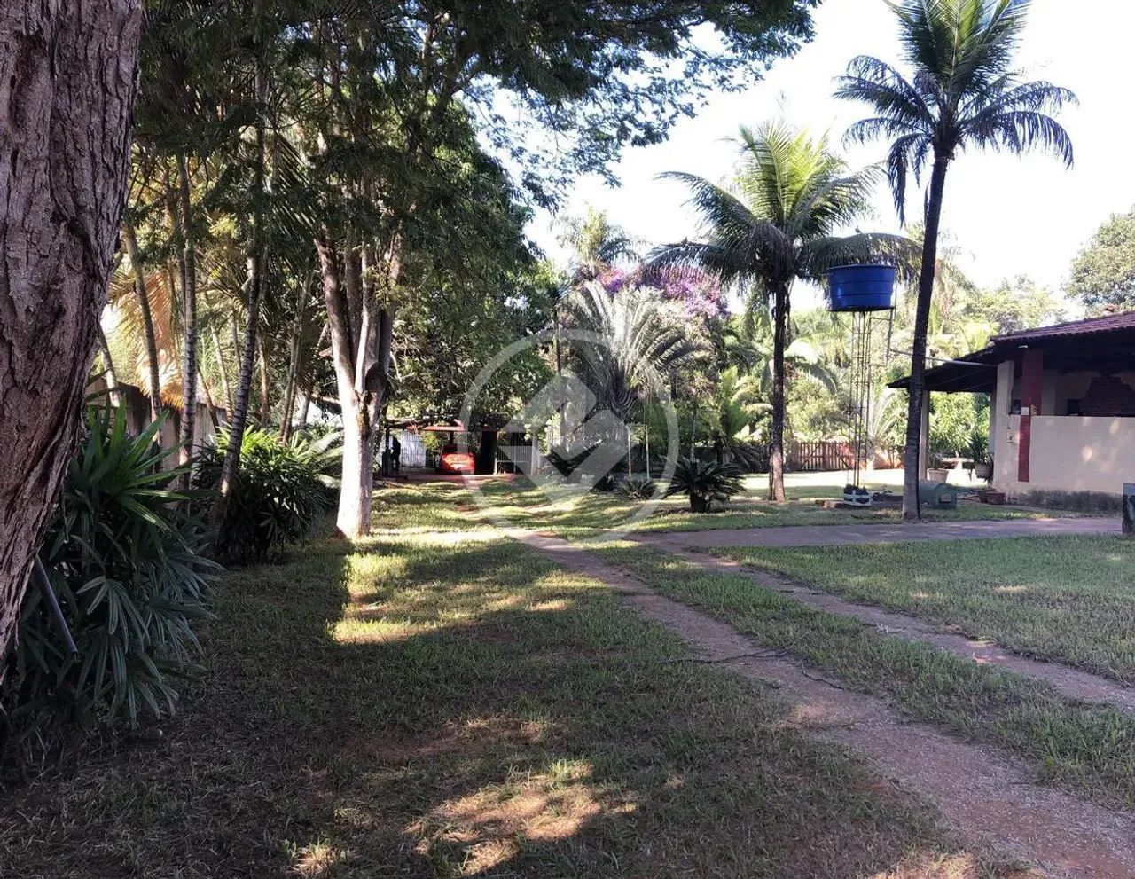Chácara dos Sonhos em Goianira  Lazer, Conforto e Natureza ao Seu Alcance! codigo: 104948 - Foto 4
