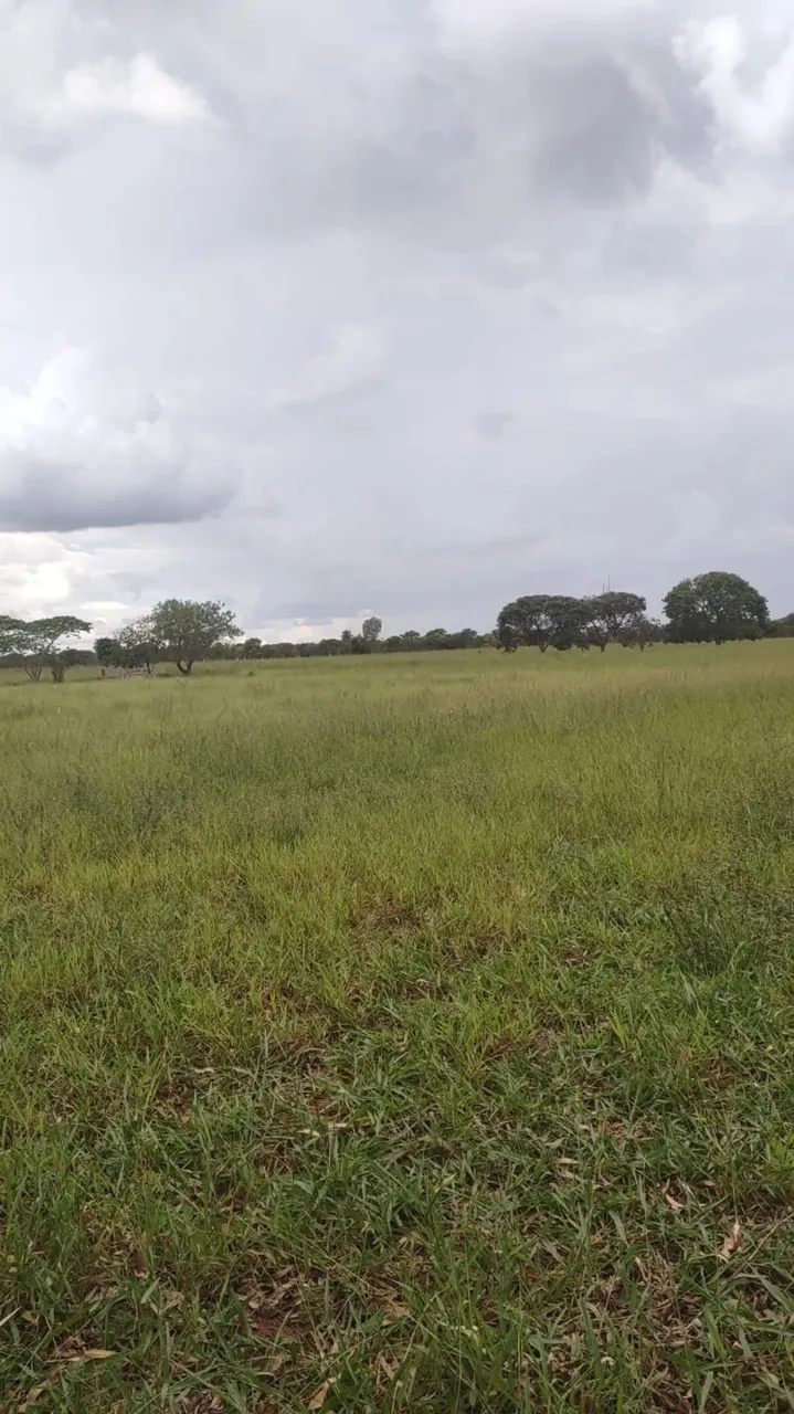 CÓD407 VENDA DE CHÁCARA NOVA ALVORADA DO SUL/MS