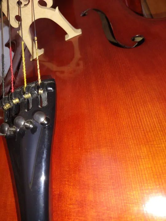 Violoncelo Roger Silva - Foto 5