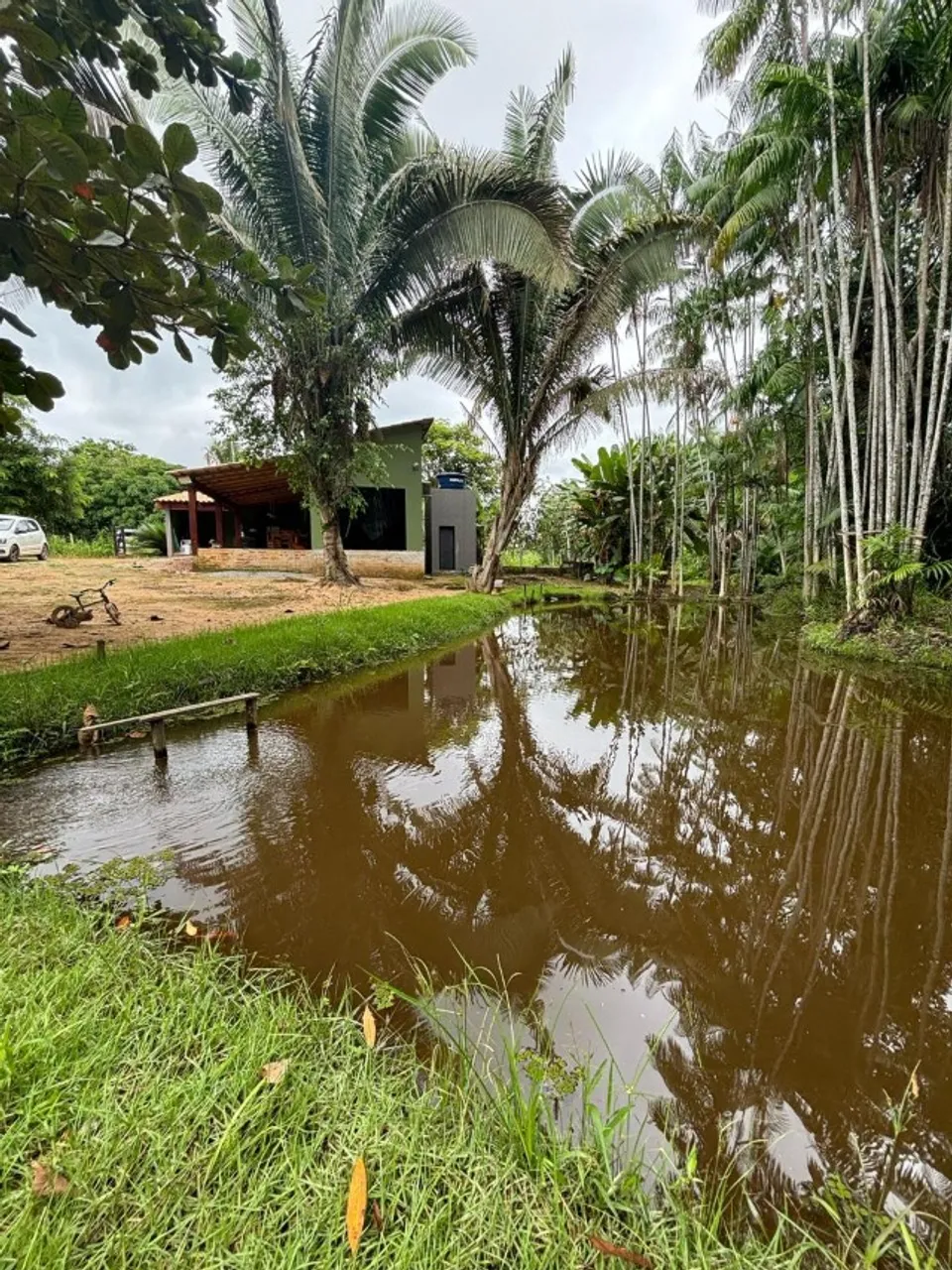 Vende-se chácara entre palmares 1/2