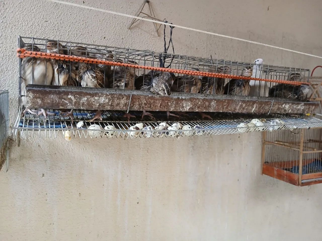 Disponível para venda - Foto 3