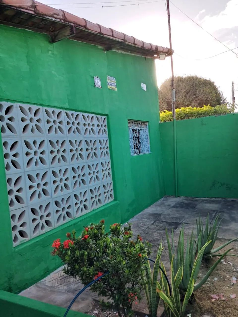 Foto - Natal - Potengi