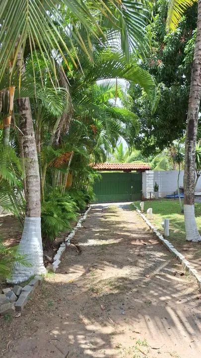 Sítio com casa, piscina e pomar - Foto 3