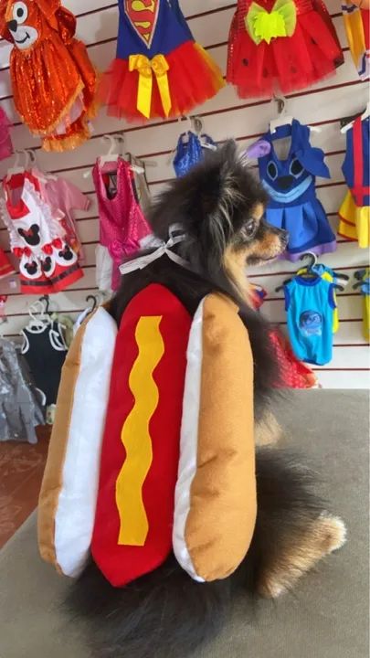 Fantasias para cachorro