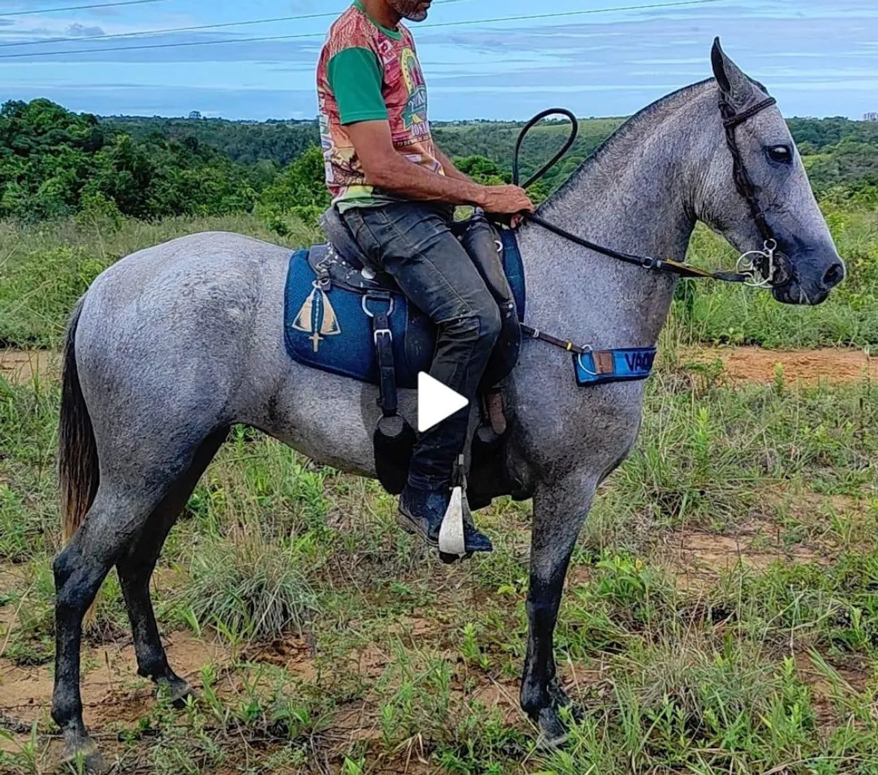 Vendo Égua Manga Larga registrada  - Foto 3
