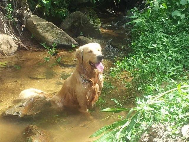 Foto - Guapimirim - Cantagalo