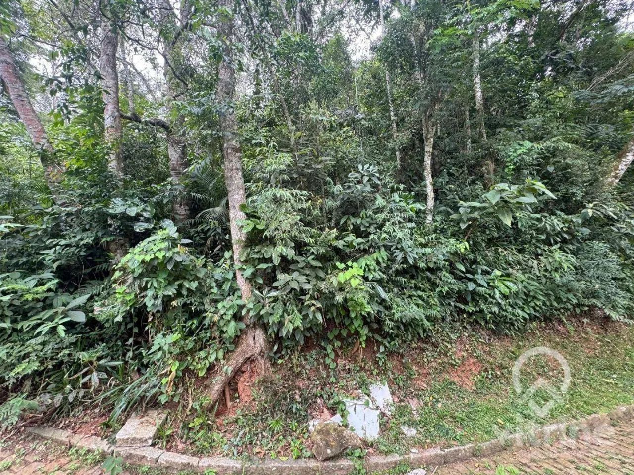 Terreno à venda, 2345 m² - Ponte da Saudade - Nova Friburgo/RJ - Foto 4