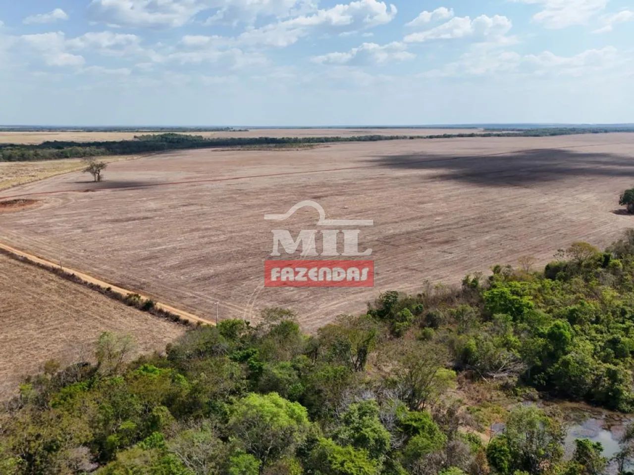 Fazenda 2.120 Hectares em Santa Rita do Tocantins - TO - Foto 5