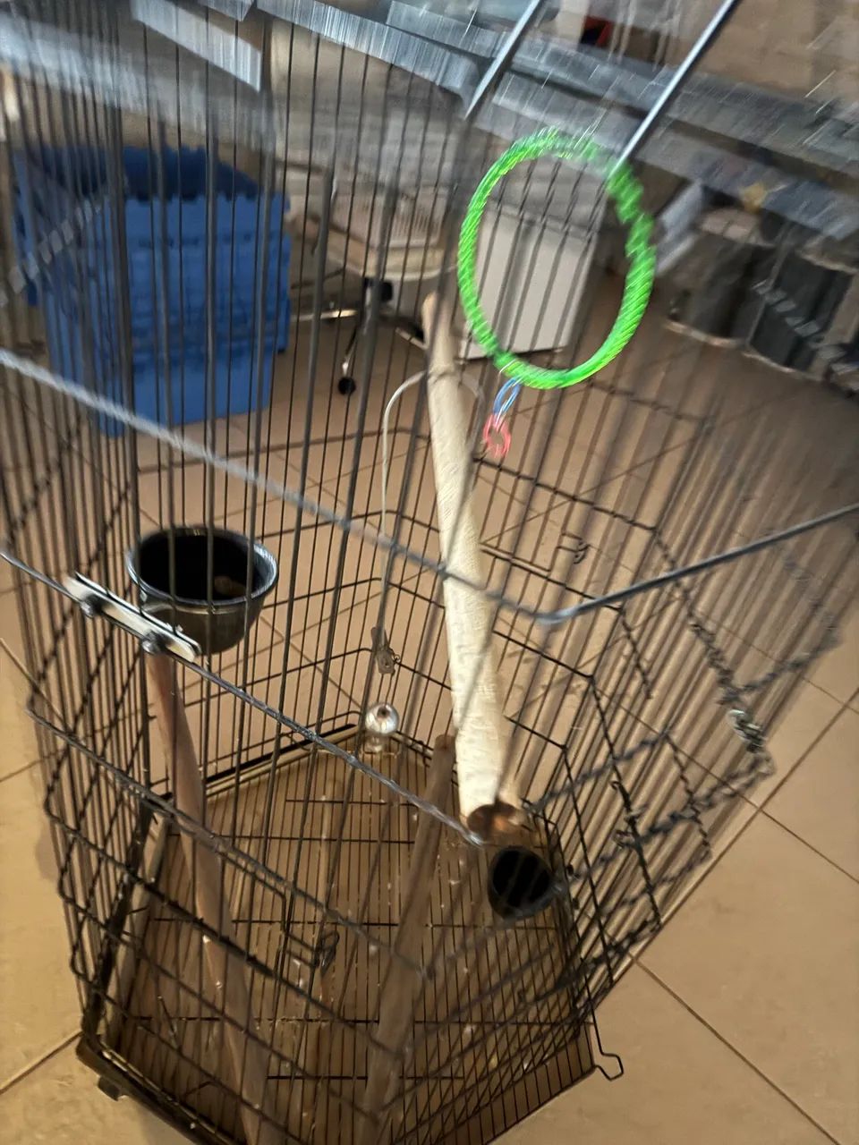 Viveiro para papagaio