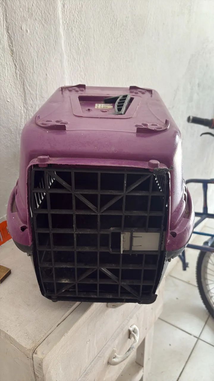 Casinha de cachorro